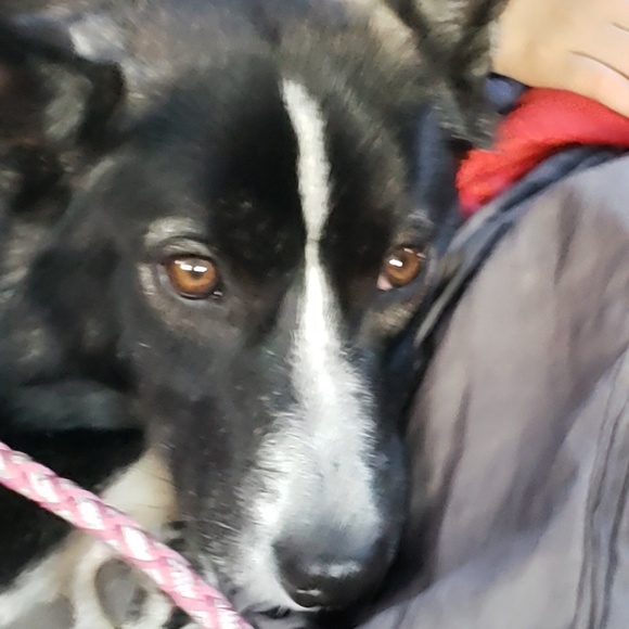 Meet your Posher, Adam - Picture 1 of 1